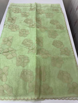 Viscose organza saree with thread work - MSH925 PastelGreen