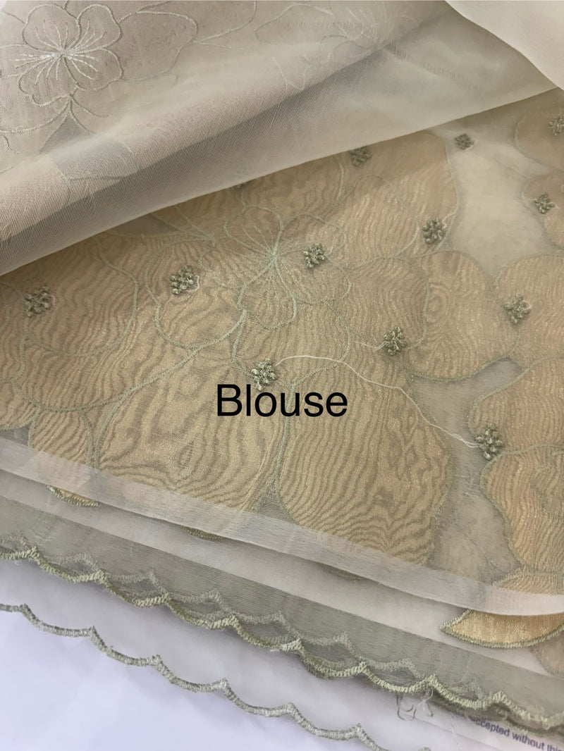 Organza saree with tissue applique work MS5081 - Pastel DuskyGreen