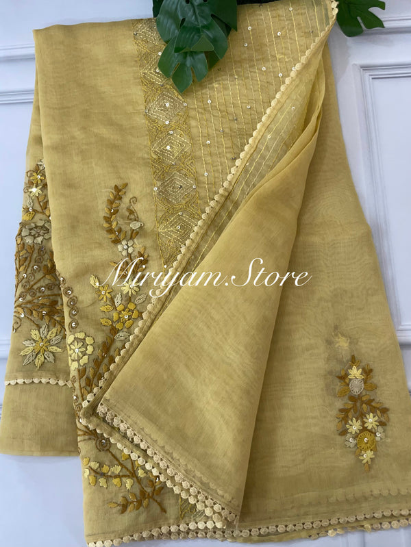 Tissue Organza saree with beautiful hand embroidery work FBLK162