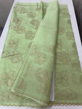 Viscose organza saree with thread work - MSH925 PastelGreen