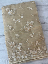Tissue Organza saree with thread work  MS14931 - Beige