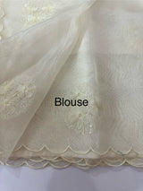 Tissue Organza saree with embroidery - MSH5509 Offwhite