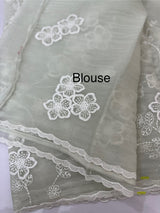 Crush Tissue Organza saree with embroidery - MS14799 Pastel SageGreen