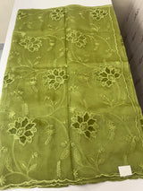 Glass organza saree with applique work- MSHW229