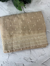 Tissue Organza saree with thread work - MS14798 Beige