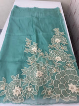 Georgette - Organza saree with applique work MS16057