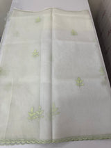 Viscose Organza saree with applique work-MSH194