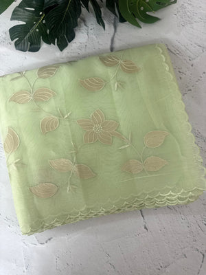 Viscose Organza saree with applique work-MSH238 PastelPista
