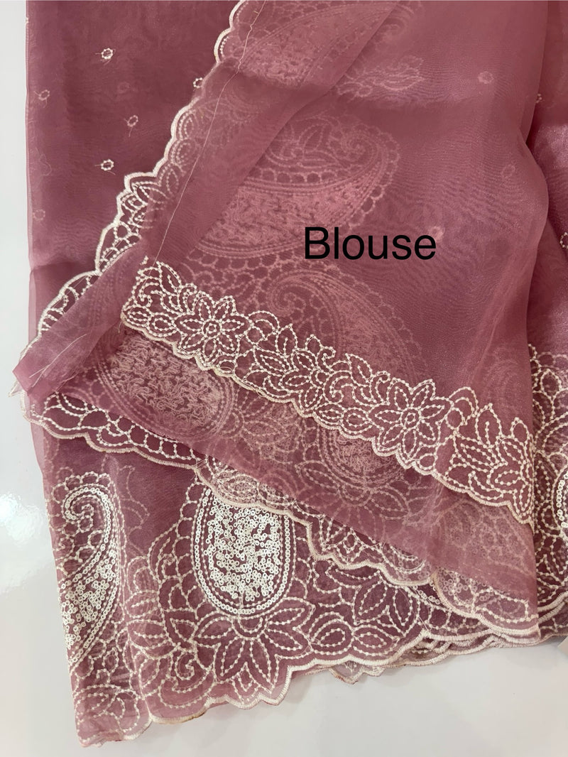 Viscose Organza saree with embriodery-MS14414