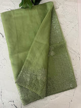 Semi Organza saree with applique and sequence borders - MCW699 DustyGreen