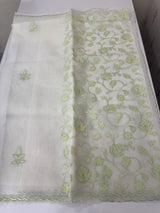 Viscose Organza saree with applique work-MSH194