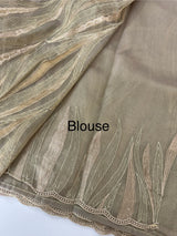 Georgette - Organza saree with thread work MS349 DarkBeige