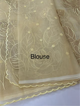 Organza saree with tissue applique work MS5081 - Ivory