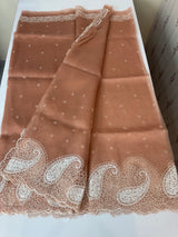 Viscose Organza saree with embriodery-MS14414