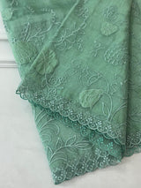 Tissue Organza Applique work saree MS14053