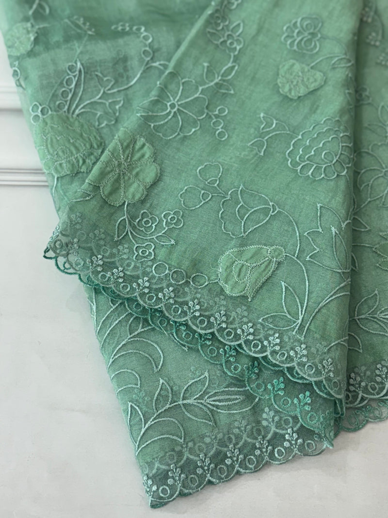 Tissue Organza Applique work saree MS14053