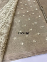 Tissue silk saree with Chikankari embroidery MTTS97(5)