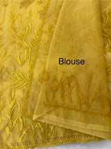 Soft organza saree with applique and thread work - MSH956