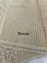 Chanderi tissue saree with applique work-  MSH248