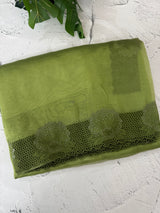 Glass Organza saree with cutwork borders - MSH005