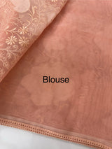Semi organza saree with applqiue work - MSH256
