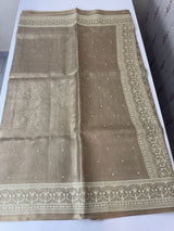 Tissue silk saree with Chikankari embroidery MTTS97(4)