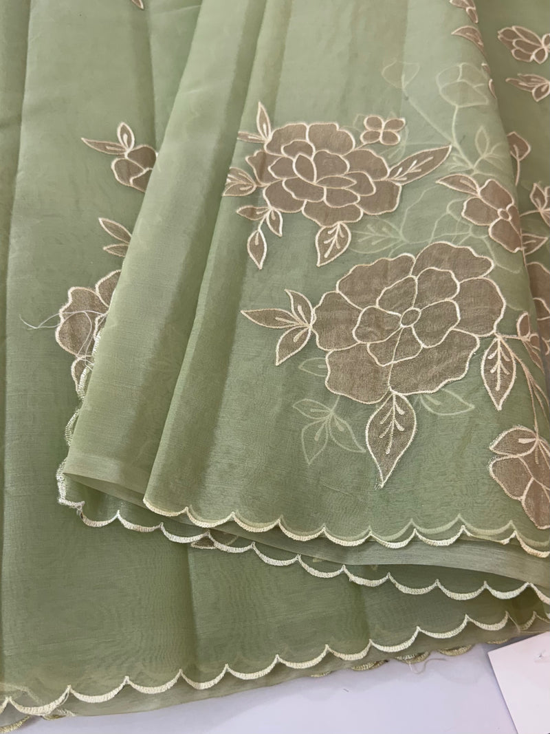 Organza saree with applique work MS5081