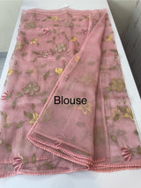 Tissue Organza saree with applique work MS15980