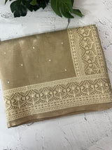 Tissue silk saree with Chikankari embroidery MTTS97(5)