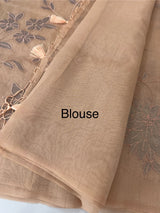 Tissue chanderi saree with applique work MSH699 - DustyPeach