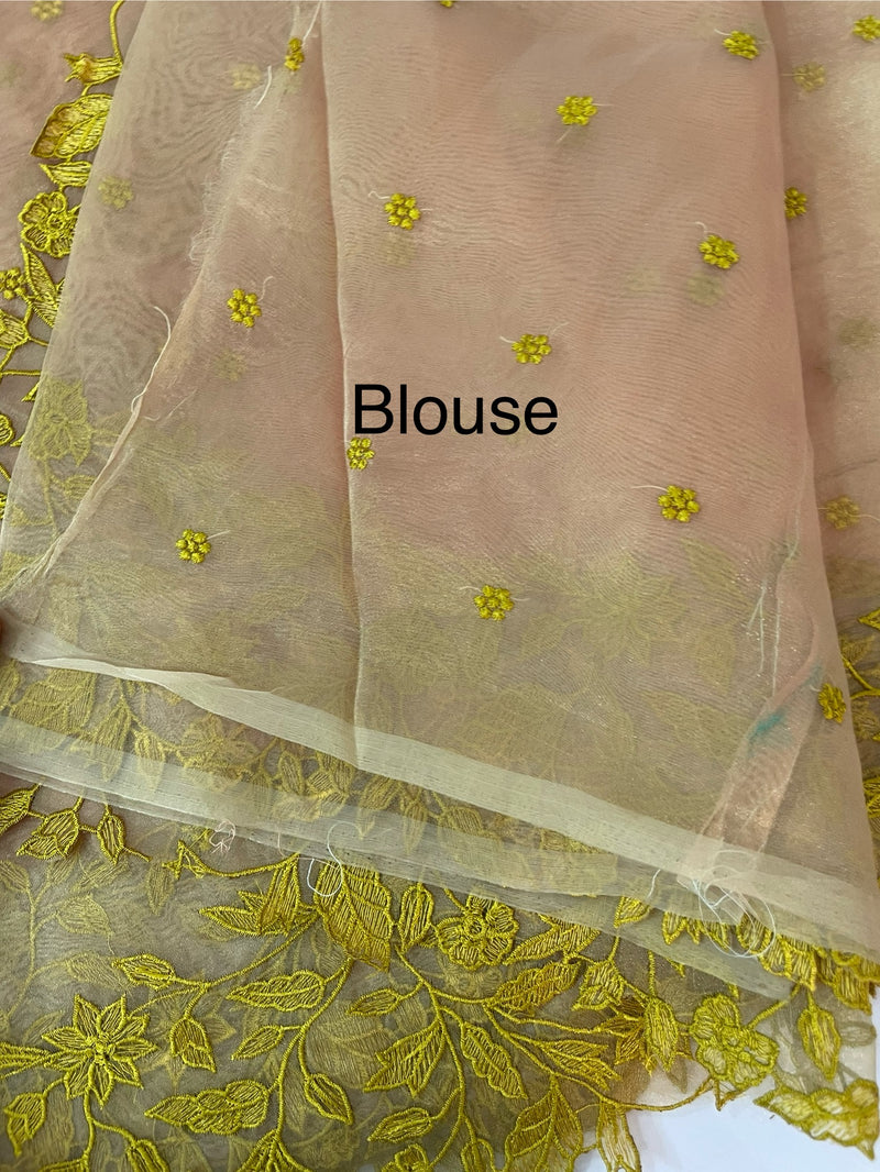 Tissue Organza saree with embriodery MS14638 GreenyYellow