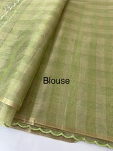 Tissue Silk applique work saree MSH133 Design 3- LightGreen