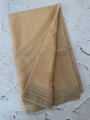 Handworked Organza saree and blouse MCW376 Beige