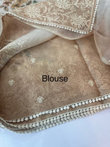 Digital printed Tissue silk saree with Chikankari embroidery MS88786