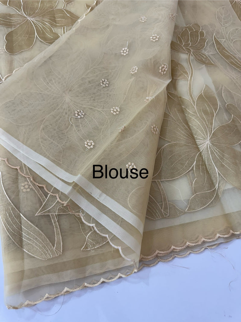 Organza saree with tissue applique work MS5081- Beige