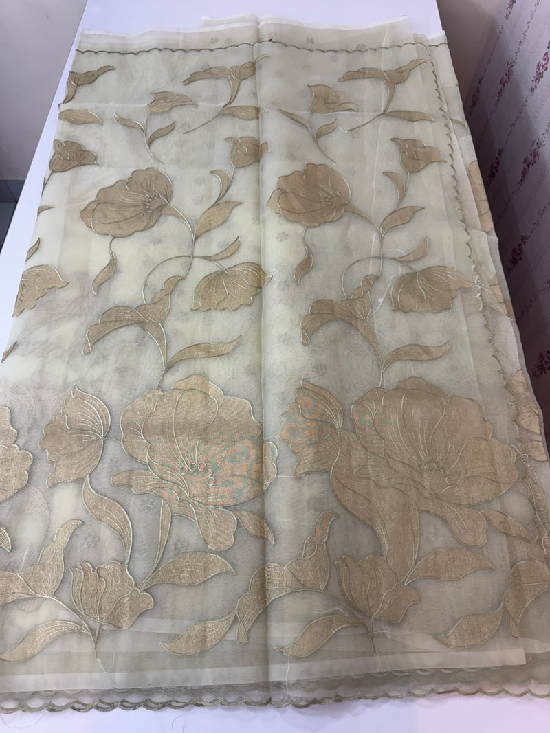 Organza saree with tissue applique work MS5081 - Pastel DuskyGreen