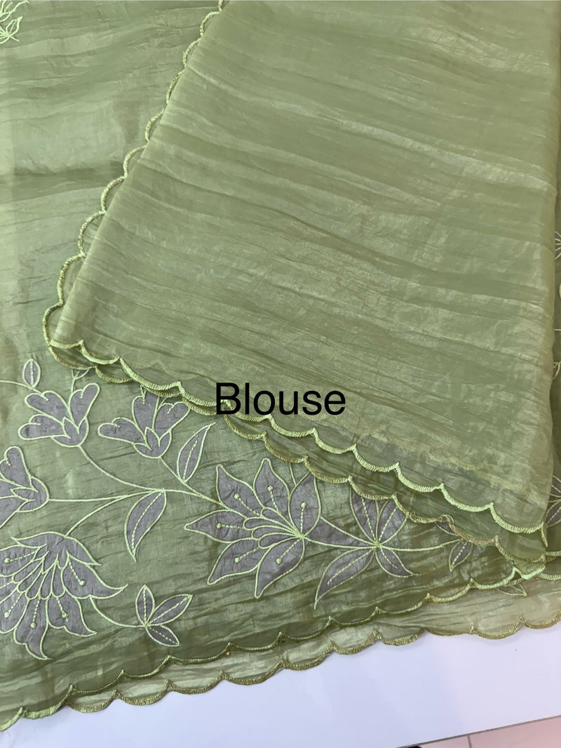 Crush Organza applique work saree MS14589