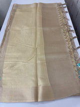 Tissue silk saree with embroidery MSH235