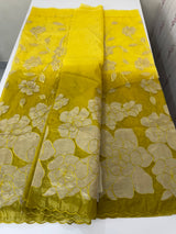 Double shade Semi organza saree with appliqué work - MSH949