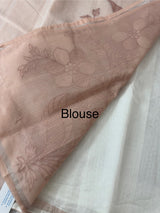 Supernet saree with applique work MCJ5433 - DuskyPeach to White