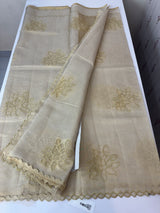 Tissue mix Soft silk saree with applique work MS8146 - Golden