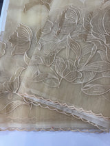 Organza saree with tissue applique work MS5081 - Beige