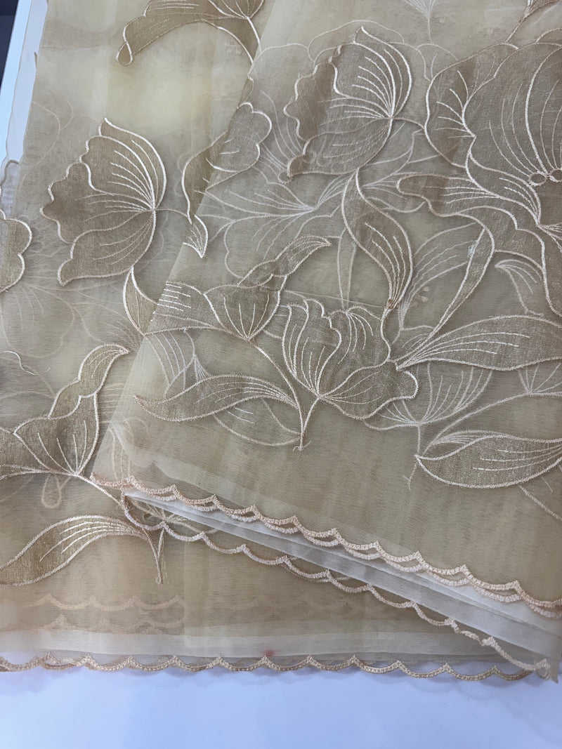 Organza saree with tissue applique work MS5081 - Beige