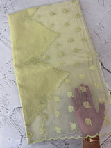 Khadi Linen saree with net applique borders MSH247 PistaGreen