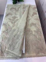 Organza saree with tissue applique work MS5081 - Pastel DuskyGreen