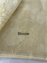 Semi organza saree with applqiue work - MSH256