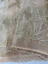Organza saree with tissue applique work MS5081 - PastelPeach
