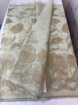 Organza saree with tissue applique work MS5081 - Pastel DuskyGreen