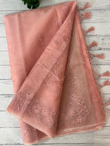 Semi organza saree with lace embroidery MSH117- PastelPeach
