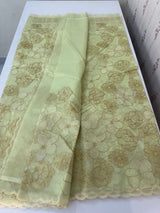 Semi organza saree with thread work - MSH910 Pastel Green